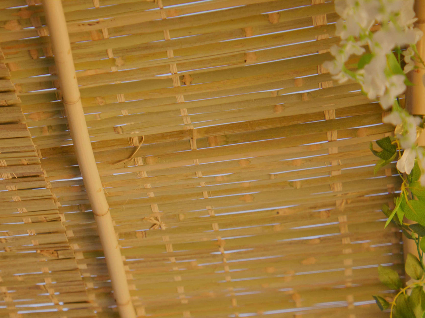 Kosher-certified bamboo schach mat rolled out on a sukkah frame – lightweight, durable, halachic roofing
