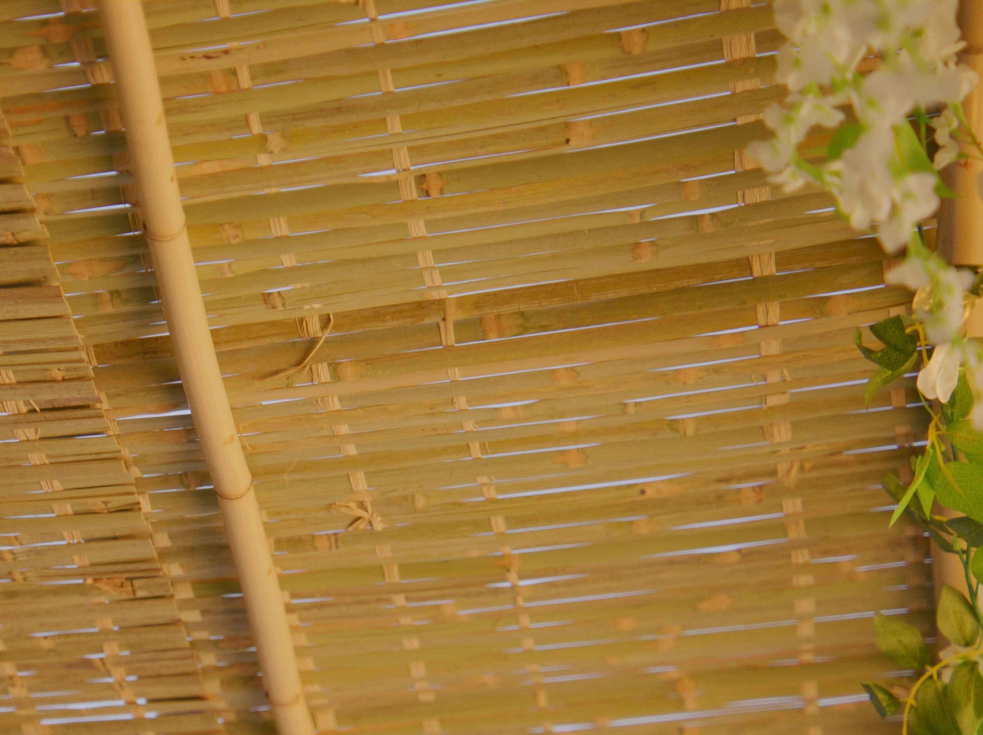 Kosher-certified bamboo schach mat rolled out on a sukkah frame – lightweight, durable, halachic roofing